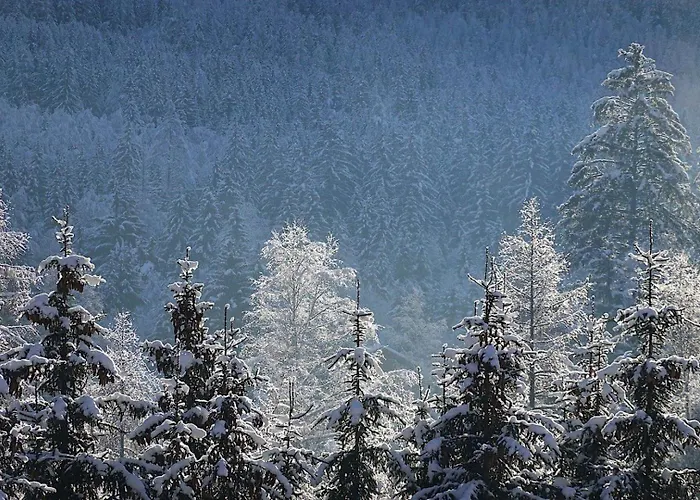 Quartz - Appt 4 Etoiles Vue Mont-blanc - Centre Chamonix