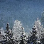 Quartz - Appt 4 Etoiles Vue Mont-blanc - Centre 샤모니