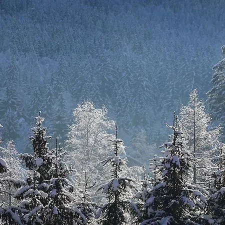 Quartz - Appt 4 Etoiles Vue Mont-blanc - Centre Chamonix